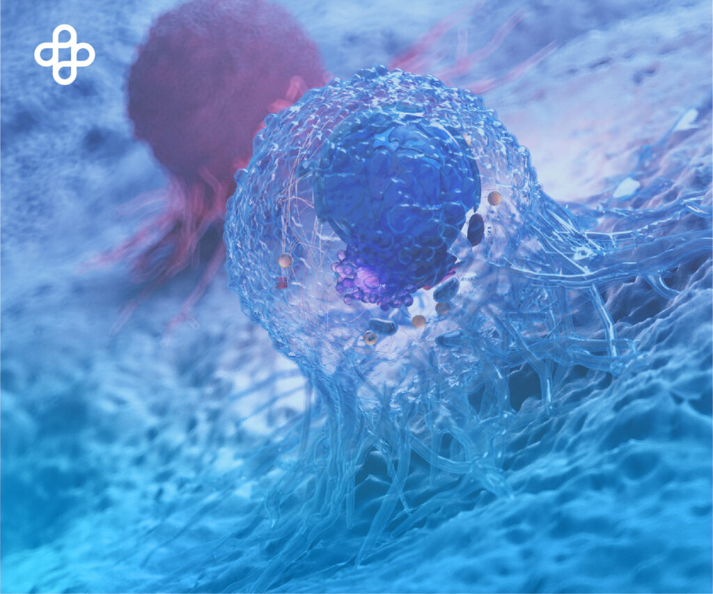 Células madre para el cáncer