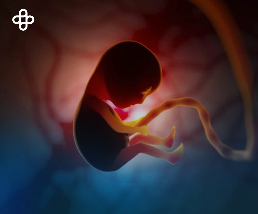 Células madre hematopoyéticas son reemplazadas por embrionarias uniparentales